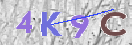 Apsaugos kodas